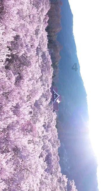 倡导“非接触式”办税 提升服务质效