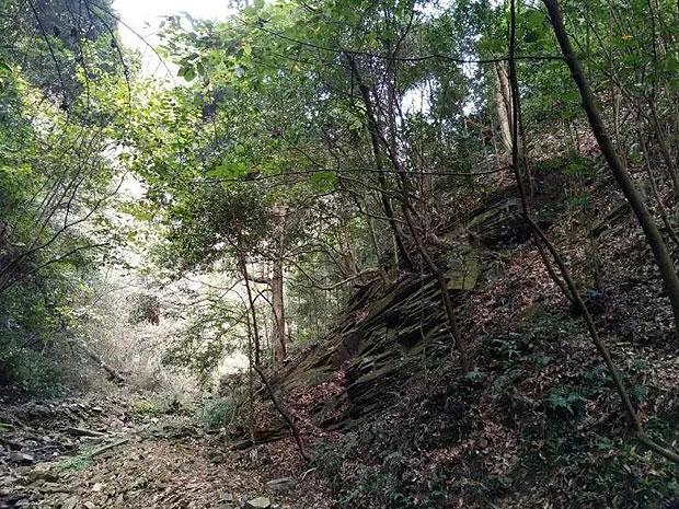时代标杆-何霞