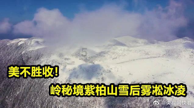 球球大作战下载最新版
