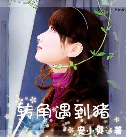 海贼王1105话情报,革命军龙出现在弹头岛,贝加庞克加入革命军