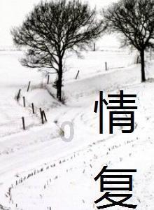 数字心理学5号人有什么优点?-全面覆盖的问答类网站