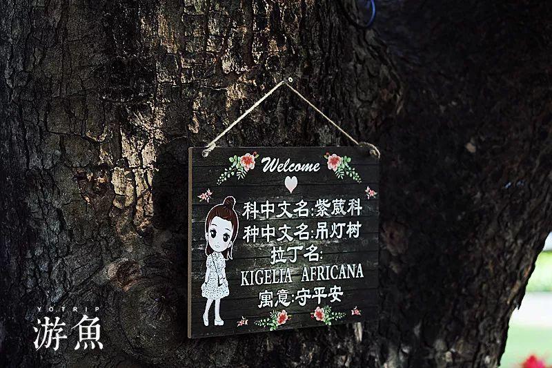 小叶子智能陪练:告别枯燥 让练琴变得更有趣