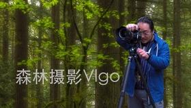AI档案开放审核实现路径探讨