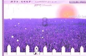 DI-50W仪表 韩国SENSTECH 具有强大的数据处理能力
