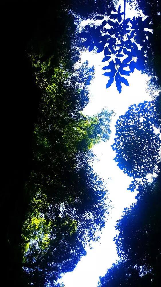 落实全面节约战略，山西省推行合同节水管理