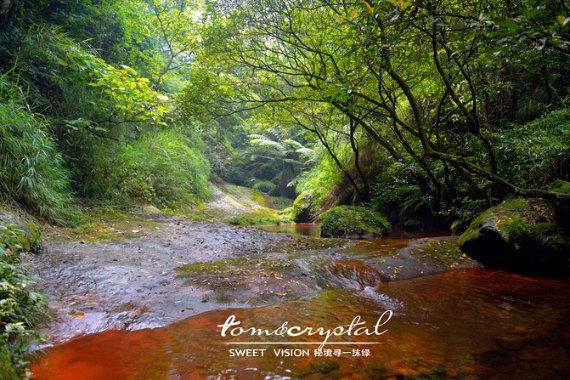 “硬核”设备 精准医疗!烟台山医院新增一台3.0T高端磁共振