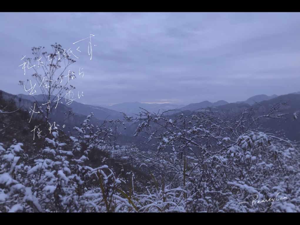 球球大作战下载最新版