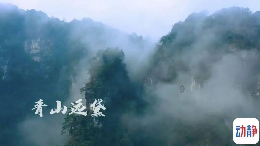 战僵特警