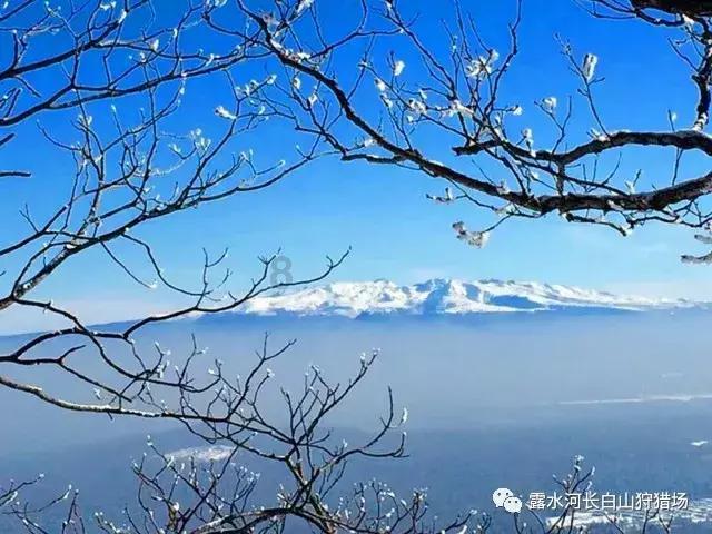 月光影视