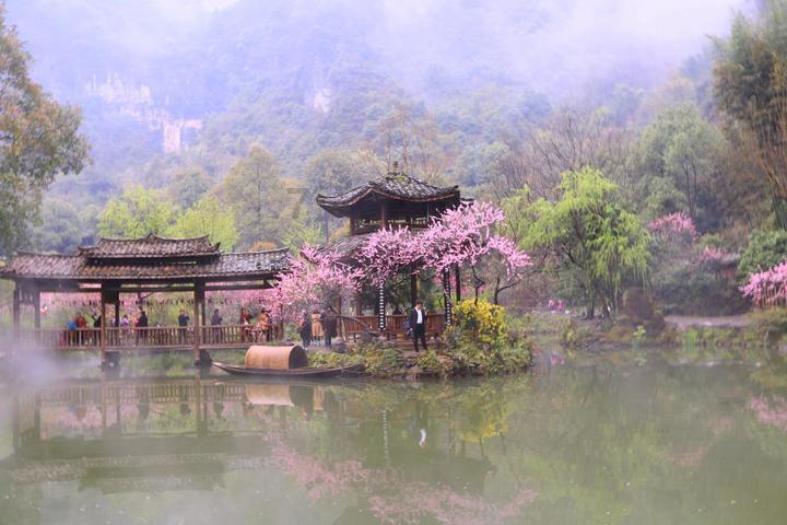 月光下的琴声