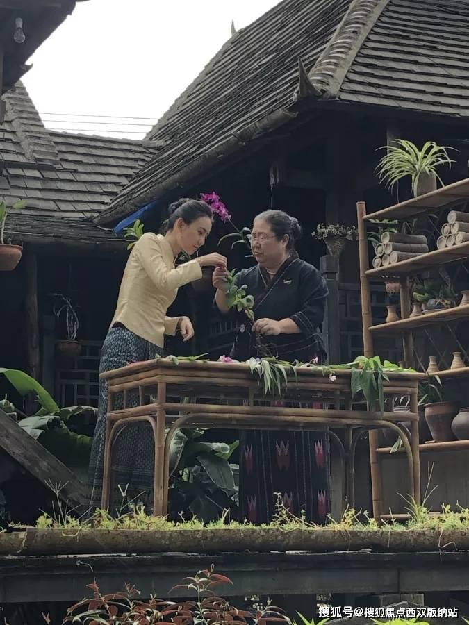 国产剧这一年:发疯、雄竞、癫剧,内娱上演“观众的反击”