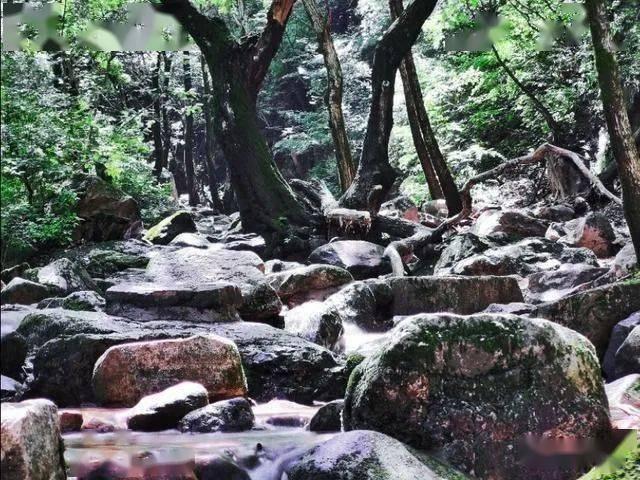 发疯失控亲手撕碎脸面,她竟被毁到了这种地步