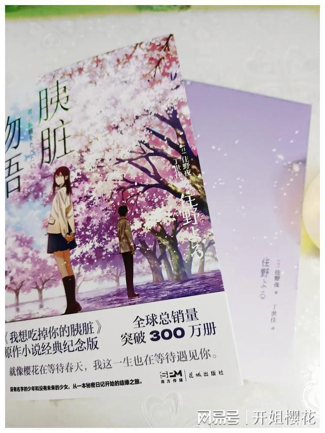 小熊救援