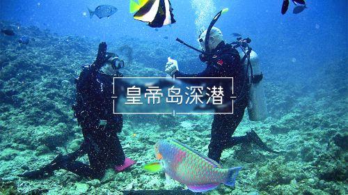 忍者鲨鱼