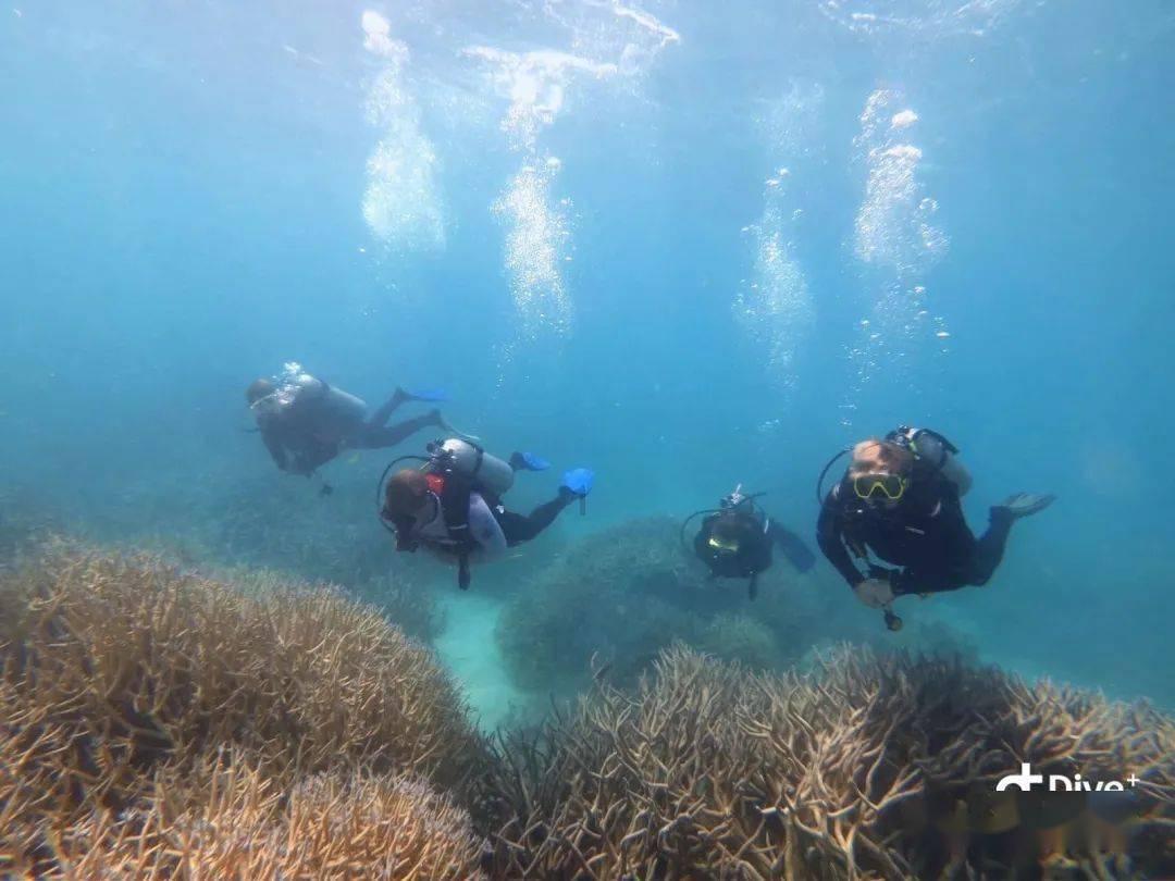 助推楼宇经济高质量发展 海口首个区级楼宇经济大数据平台上线