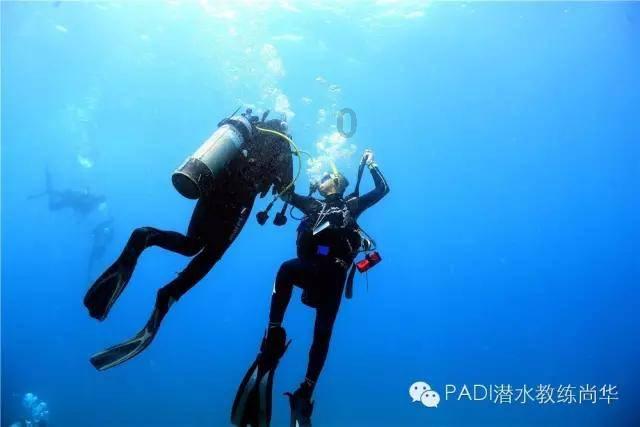 沪江开心词场