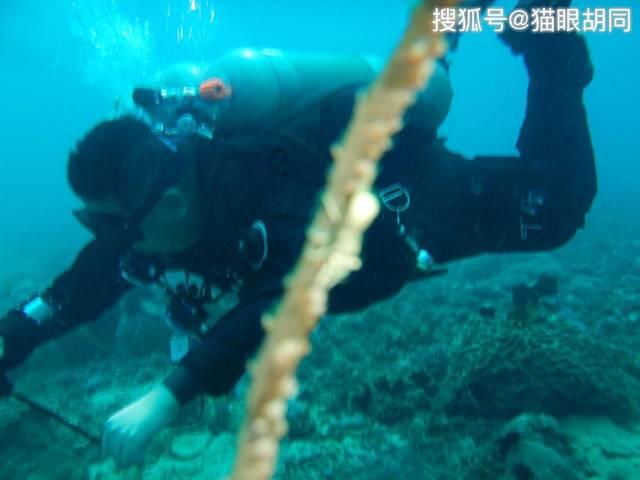 母亲说话太刻薄，像刀子一样，怎么办?游戏画面