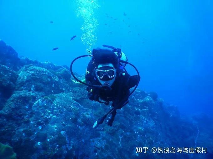 红豆怎么做