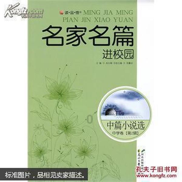 新迈腾和致胜怎么选游戏画面
