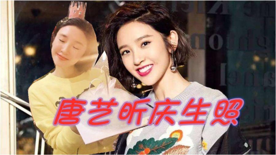 可爱小猫向上跳