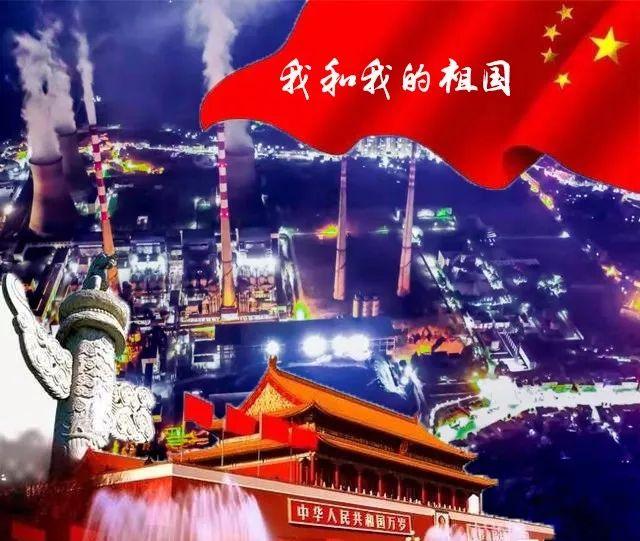 奥利维亚收养猫