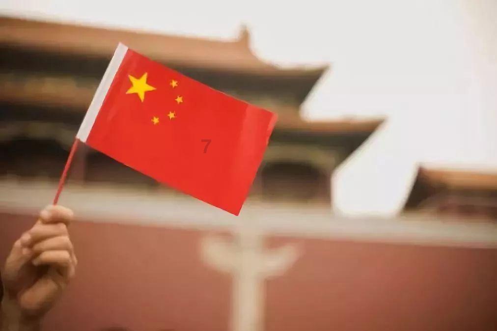 可爱的小考拉