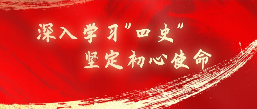 远征军：维京
