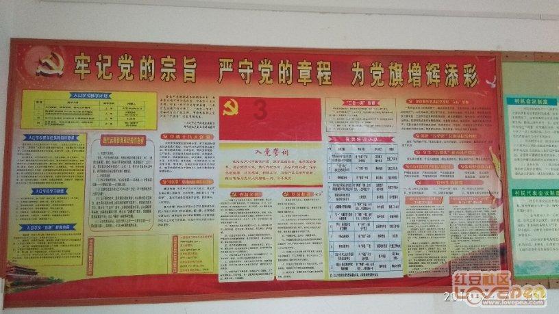 动物帮帮忙保卫家园