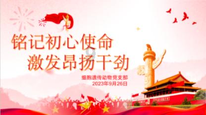 加勒比海度假村