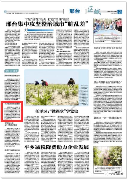 荣耀x40有视频美颜功能吗?-全面解答, 百科问答平台