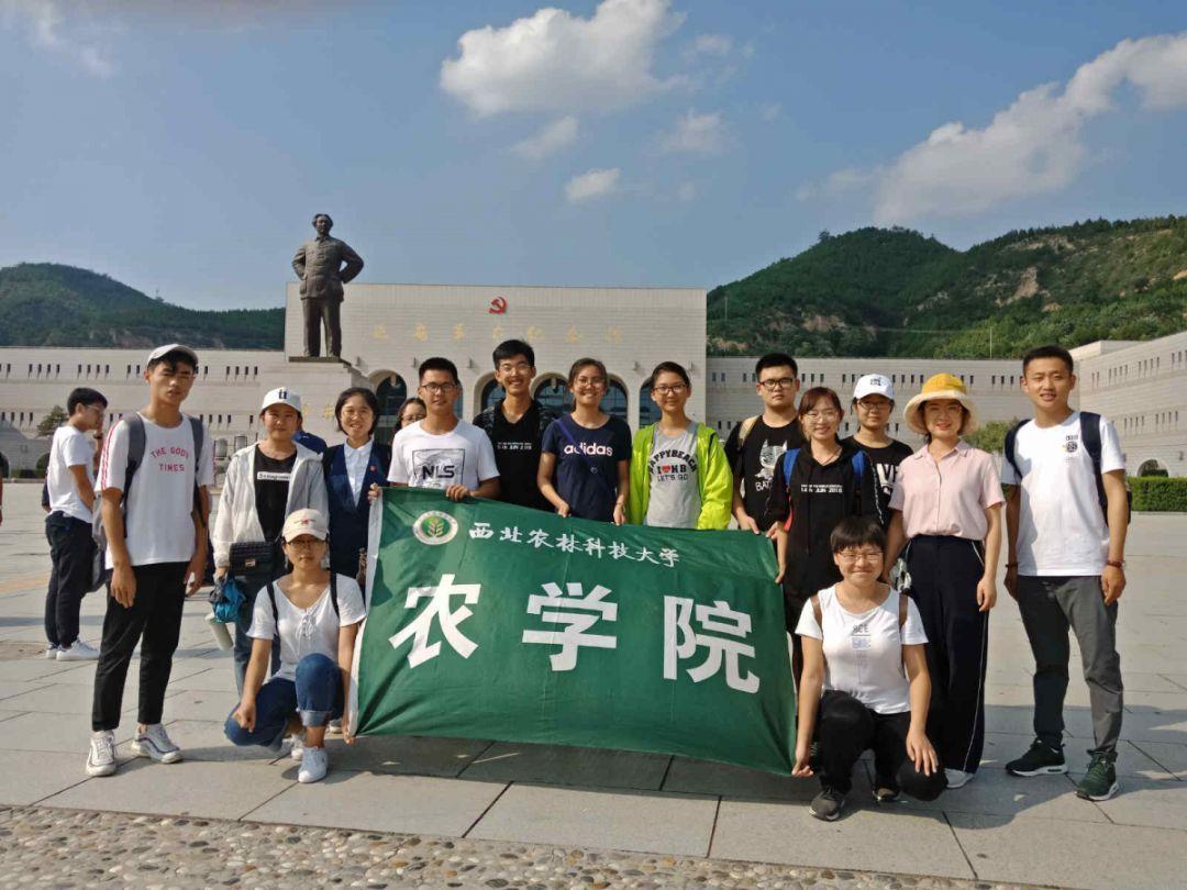 逗小猴开心系列187