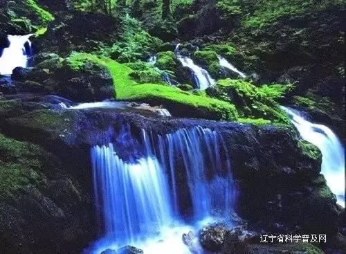 月光影视