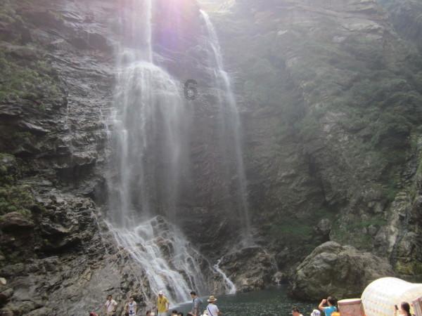 达·芬奇的童年：私生子、没接受教育，这算不算运气好？