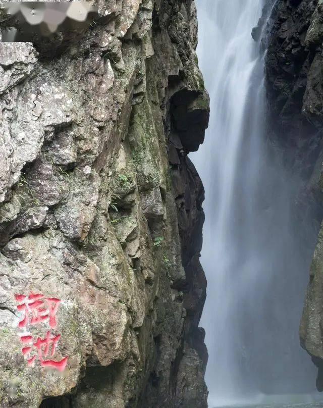 脑洞小老弟无实名认证