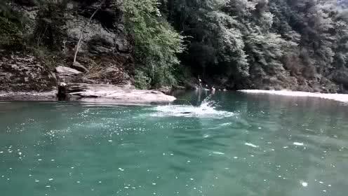 河南驻马店泌阳县一河道漂浮多只死猪 镇政府回应:正在组织打捞