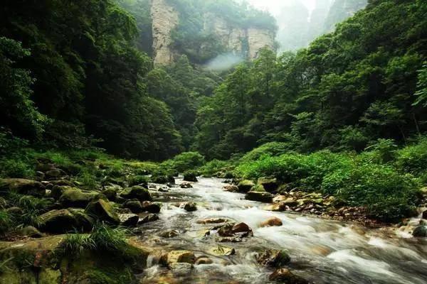 湾组户长会议出乡村治理金点子