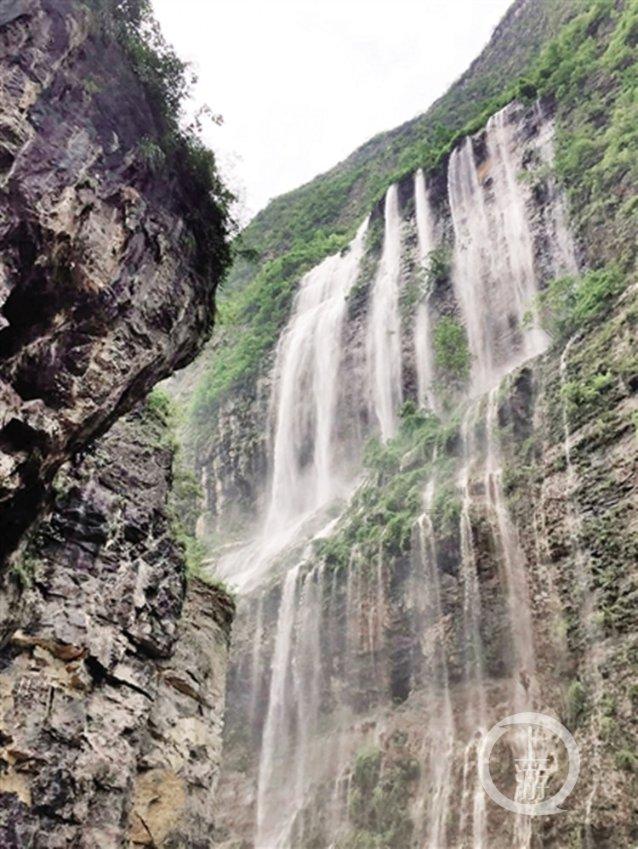 【新春走基层】探班习水舞龙排练现场 2月5日精彩上演