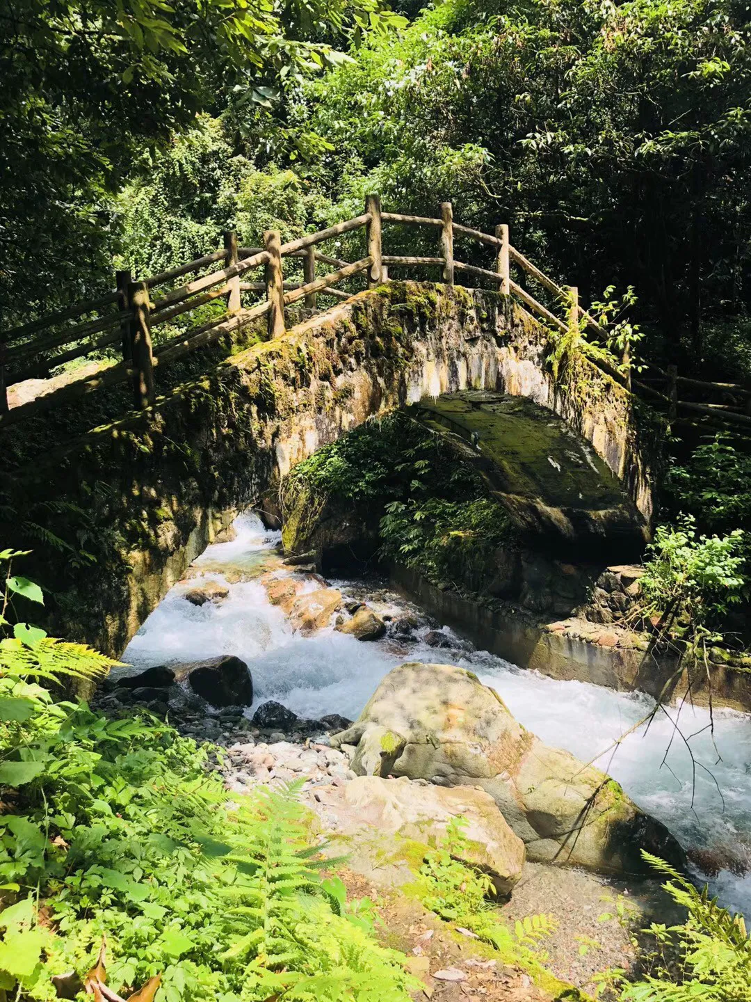 苏菲亚和安伯的休闲装
