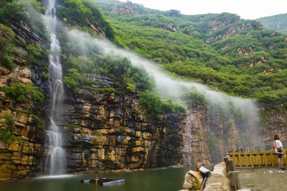 虫虫助手下载