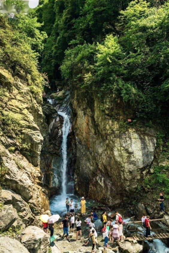 营养家常菜，味道清甜鲜美，丝瓜炒虾仁的做法是什么？游戏画面