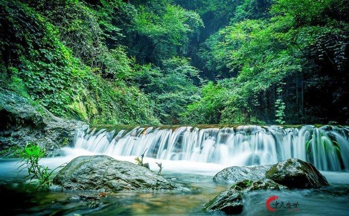 植物大战僵尸2