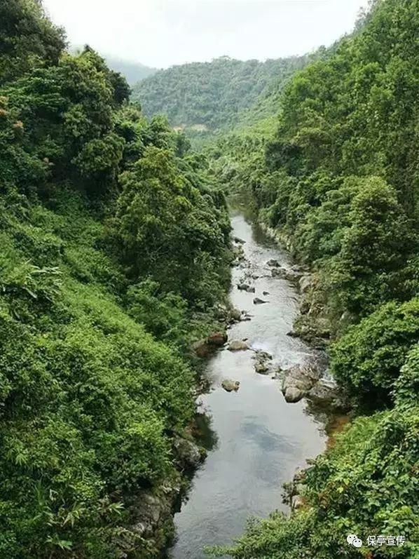 次元喵