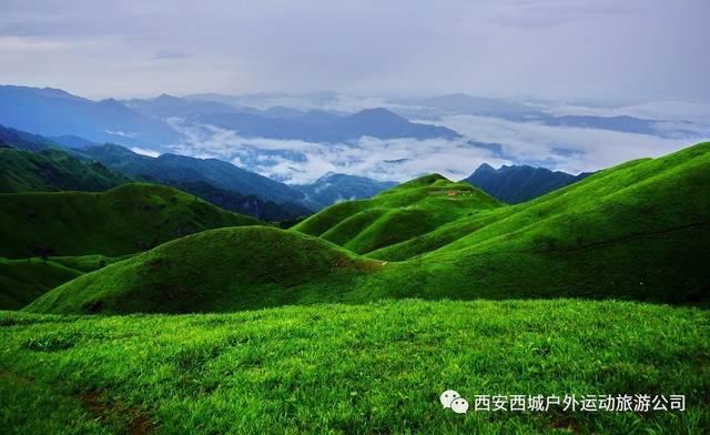 虫虫助手下载