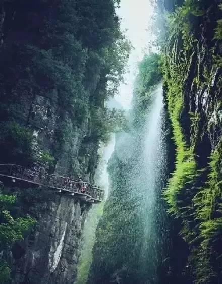 柳()花()成语是么急急!!!-全球最专业的有问必答平台