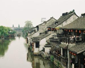 动物帮帮忙保卫家园