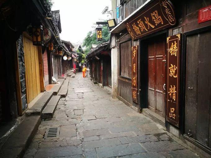 探索帝王鳄的天敌是谁的知识星球,专业领域的学习和交流平台