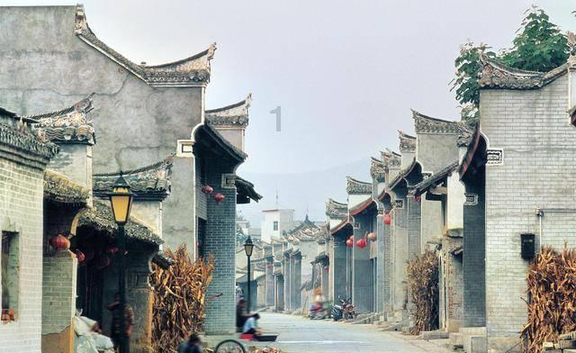 牛鲨打假机构,牛鲨打假公司