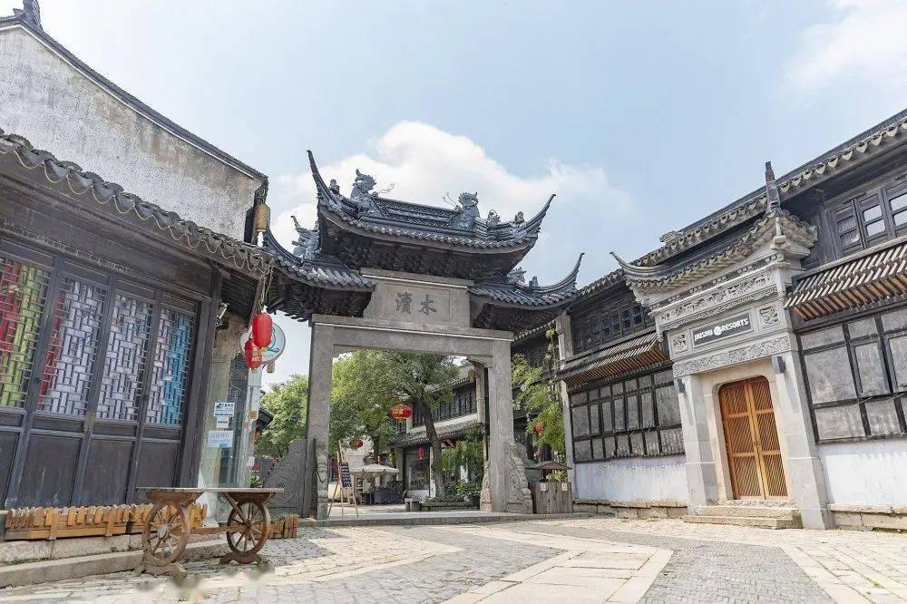 宠物世界聚会