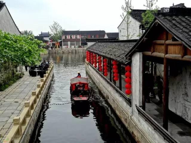 森系丛林