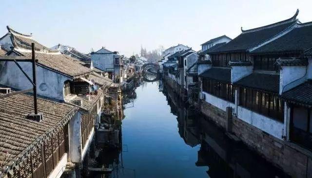 寻找沙漠珍宝